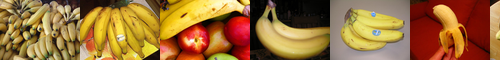 [banana] バナナ, banana, バナナ (obsolete kanji 実芭蕉), 甘蕉, バナナの木, 芭蕉