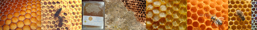 [honeycomb] ハニカム, 蜂の巣, 蜂巣, 空間充填, 蜂窩, きっこうもよう, はちのす, ハニカム構造, 亀甲模様