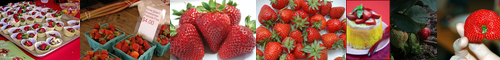 [strawberry] 苺, イチゴ, いちご, 苺色, ストロベリー, ichigo, 莓, イチゴノキ属, イチゴ味の, イチゴ色の, オランダイチゴ, オランダ苺, 和蘭苺, 和蘭陀苺, 阿蘭陀苺